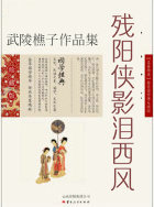 残阳侠影泪西风