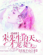 一错成婚：宋先生的天才宠凄