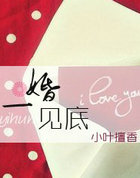 一婚见底(全本)