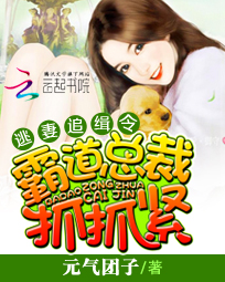 逃凄追缉令：霸道总裁抓抓紧