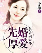 先婚厚爱：老公别太坏