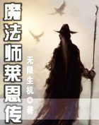 魔法师莱恩传
