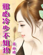 邪心冷少不知欢