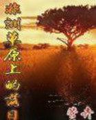 非洲草原上的落日