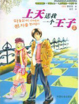 上天送我一个王子2