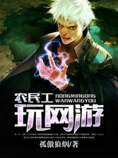 农民工玩网游