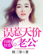 闪婚厚爱:误惹天价老公