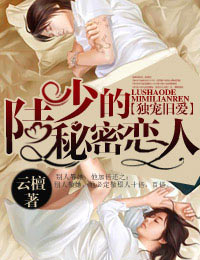 独宠旧爱&middot;陆少的秘密恋人