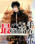 最强高手在都市