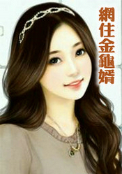 网住金龟婿